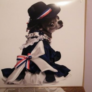 chiwa avec sa jolie robe realisee pour le defile de la patrouille de France