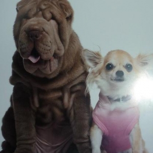 kenzo et zoe