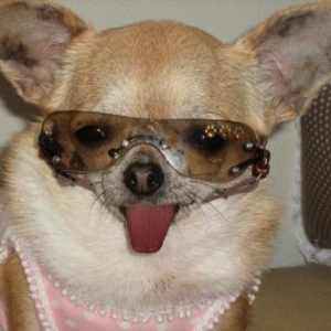 lilas presente les lunette de star