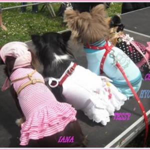 Mannequins pour "L'univers animalier"