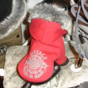 Nouvelle cllection Milk&Pepper Hiver 2011-2012