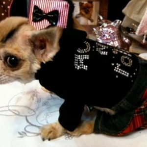 coco en rock