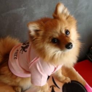 Mannequins pour "L'univers animalier"