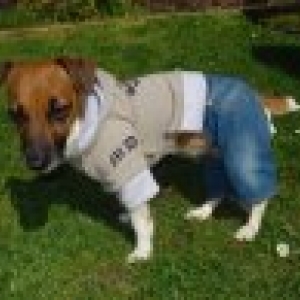 cloe porte la salopette monkey