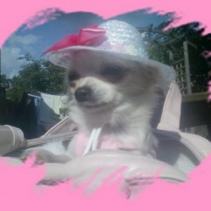 Lola avec son joli chapeau