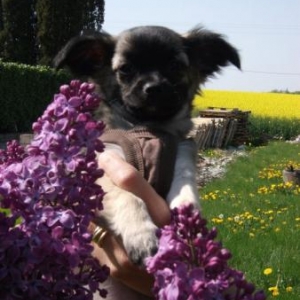 Izy