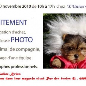Invitation a la journee photo du 20 novembre 2010