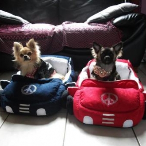 Noa et IZY