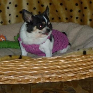 praline dans sa jolie robe crochet