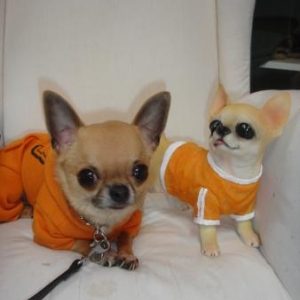 timkerbel pose avec chichi !!!