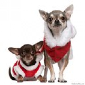 Tomy et Tara