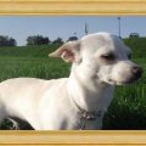 lolita de Carine beaugnee de eghezee