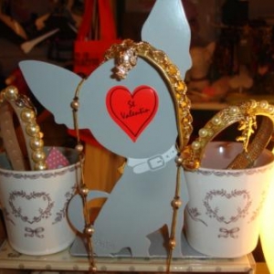 La Saint Valentin du chien gâté !