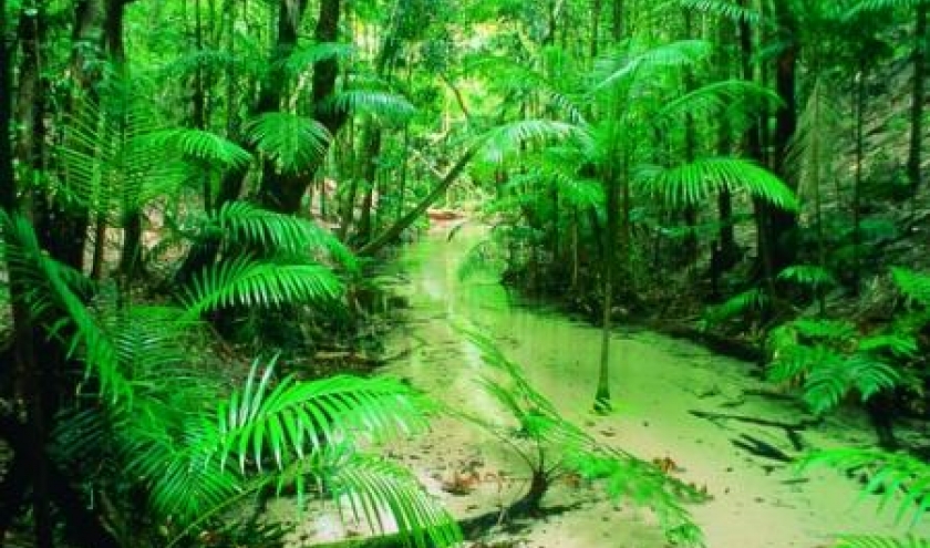 (c) Tourism Queensland - Photographer Peter Lik (c) Tourism Queensland - Photographer Peter Lik