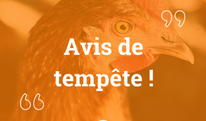 Contrepeterie. Contrepeterie.