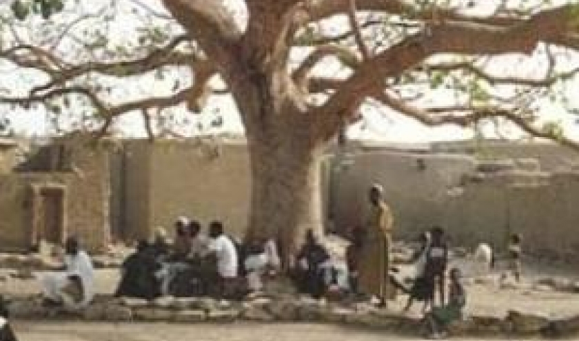 Griot, dous une arbre a palabres Griot, dous une arbre a palabres