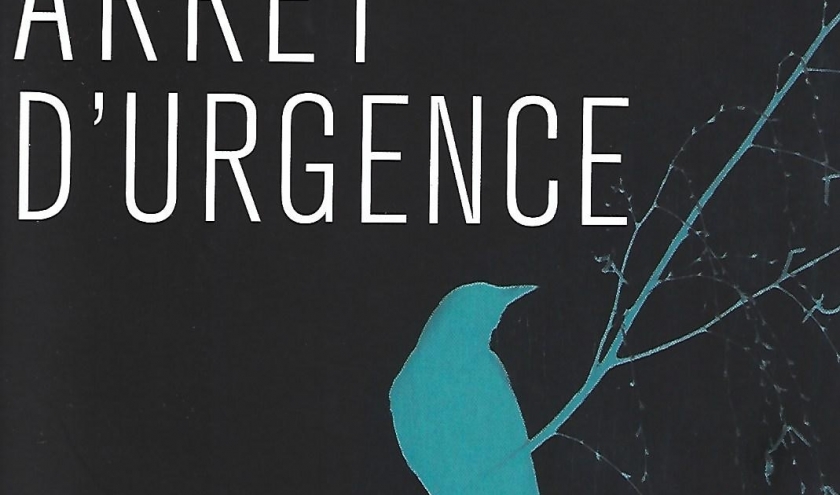 ARRÊT D'URGENCE, polar anglais par Belinda BAUER ARRÊT D'URGENCE, polar anglais par Belinda BAUER