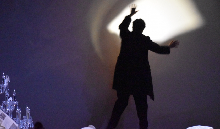 "L'0mbre de Saint-Saëns" / Photo : © Murielle Lecocq