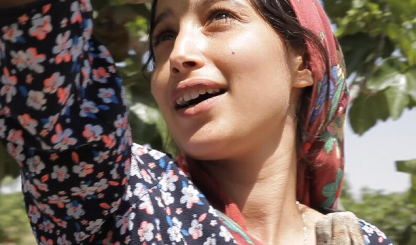 Bayard d'Or du meilleur Film : « Sous les Figues » (Erige Sehiri)