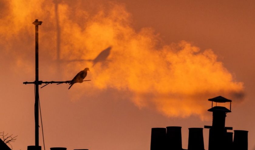 Grand Prix « Emotion'Ailes" 2021 » : « Machine qui rêve » © Antoine Dusart © « Photos Aves »