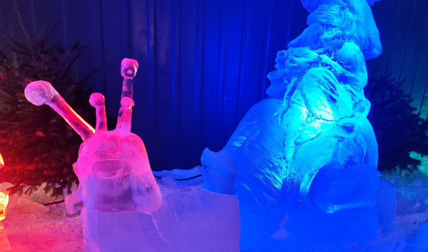 « Ice World » ⓒ Photo : Murielle Lecocq