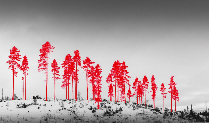 « Next possible Victims »/2018 © Jaakko Kahilaniemi