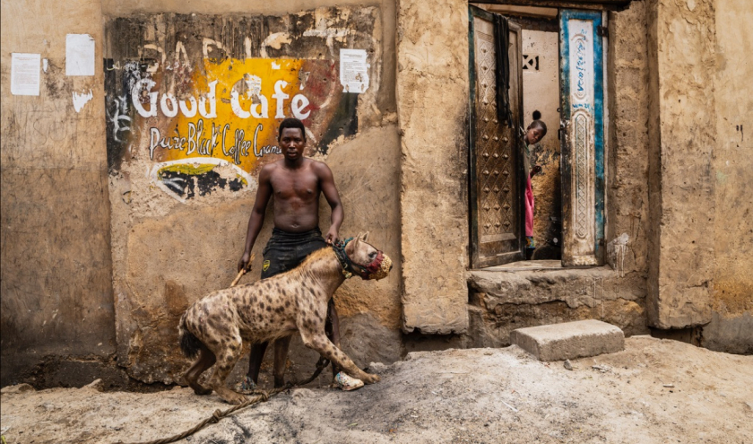 Odyssée africaine de Benoît Feron