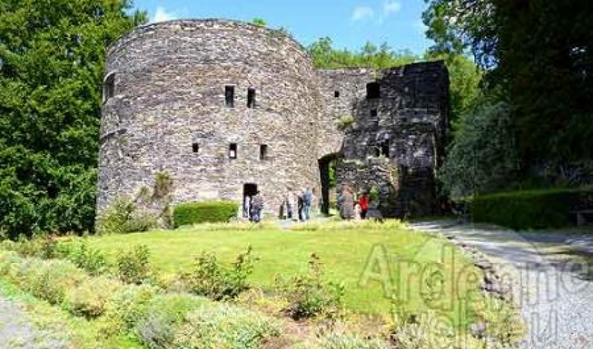 visite du chateau des comtes de Salm de Salmchateau