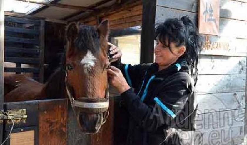 Le bien-etre du cheval Le bien-etre du cheval