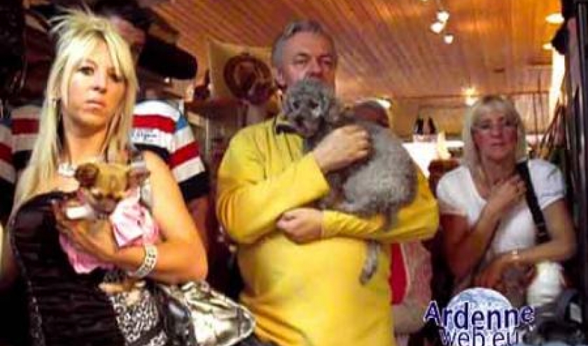 le plus beau chien du monde - video 03 le plus beau chien du monde - video 03