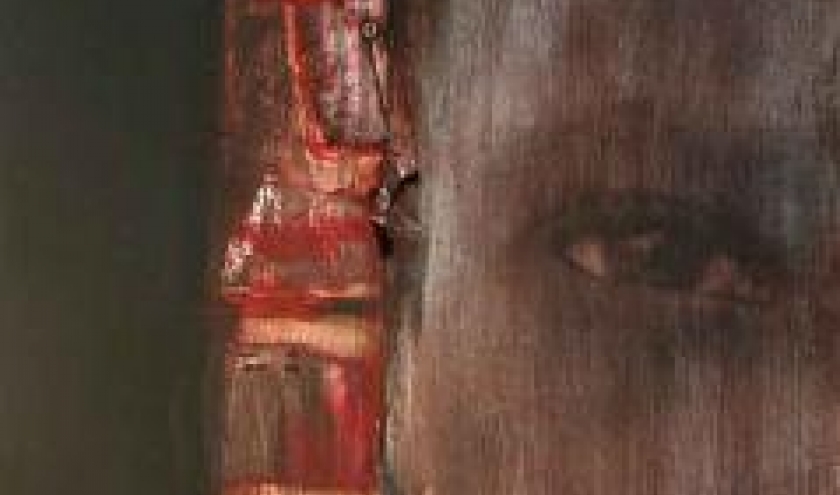 les Afriques de Costa Lefkochir les Afriques de Costa Lefkochir
