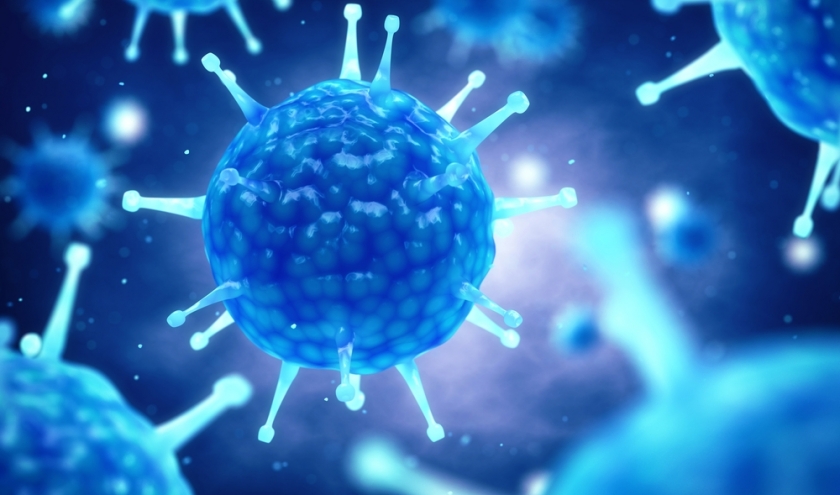 Coronavirus. Stop à l’hystérie, stop à la panique. Coronavirus. Stop à l’hystérie, stop à la panique.