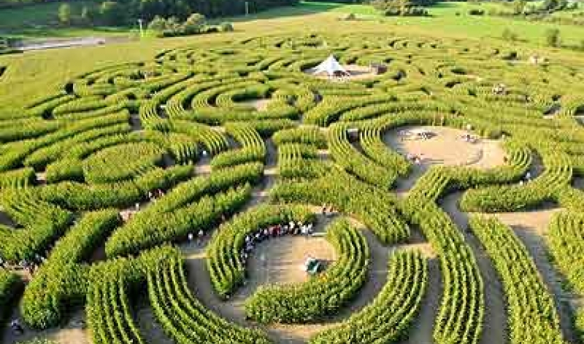 Les extraterrestres au Labyrinthe Les extraterrestres au Labyrinthe