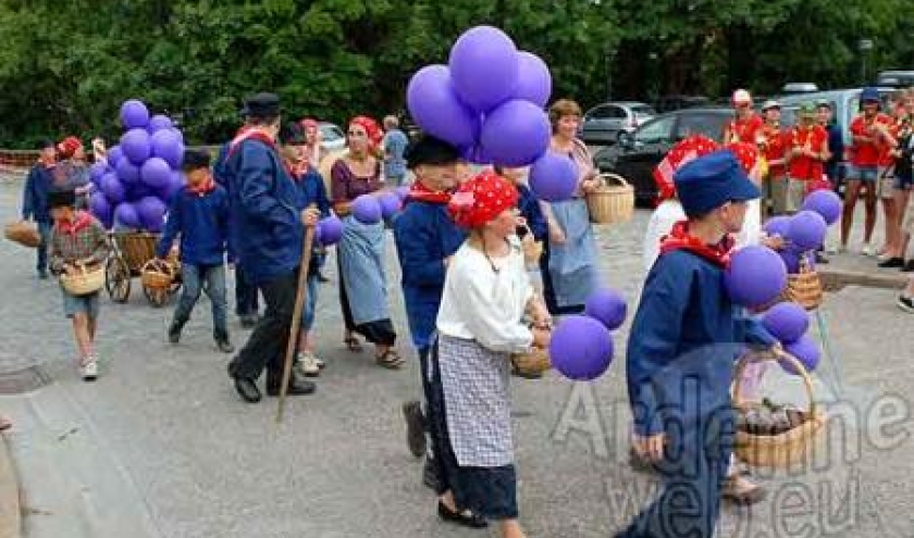20100721_myrtilles_12 20100721_myrtilles_12