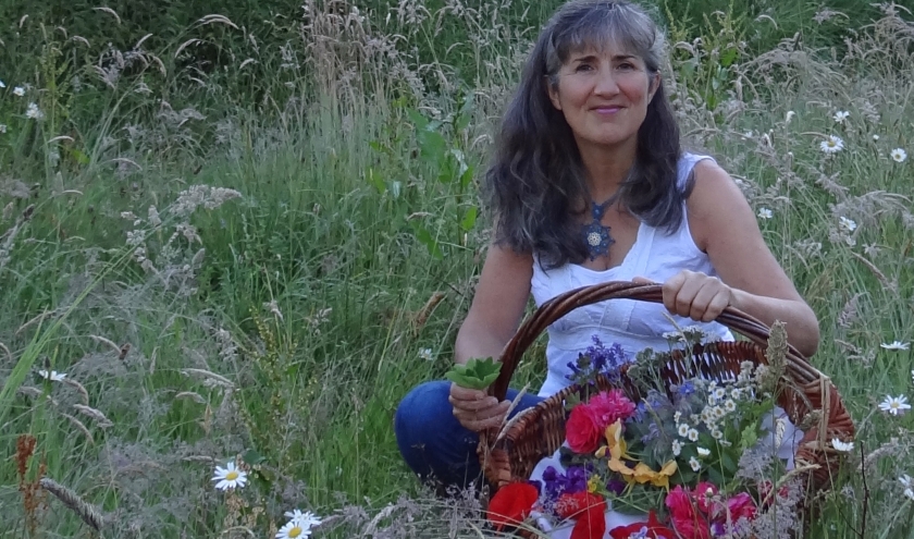 Françoise Gabriel Nos plantes sauvages Comment les récolter, les cuisiner et les utiliser en remèdes Françoise Gabriel Nos plantes sauvages Comment les récolter, les cuisiner et les utiliser en remèdes