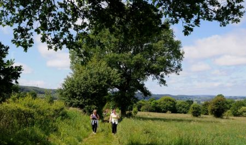 Photos Patrick Davin