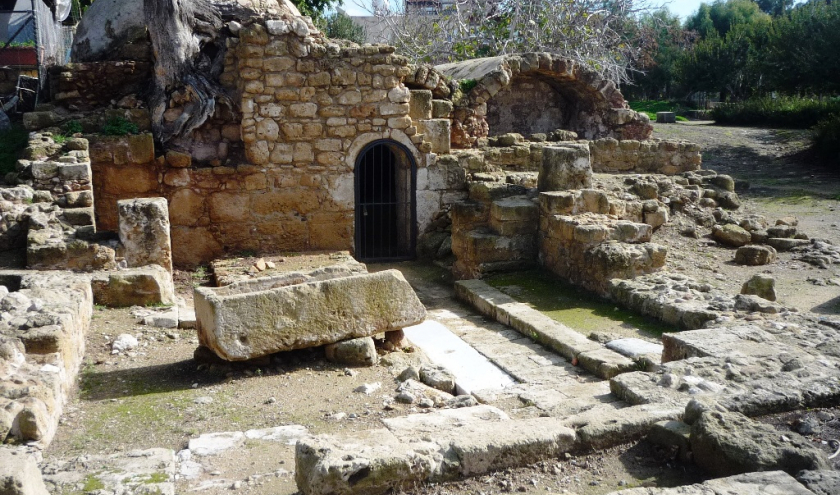 Paphos ( photo : Detry François ) Paphos ( photo : Detry François )