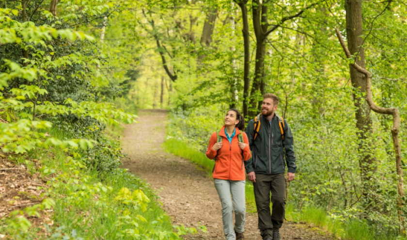 hauset_wandern_( www.ostbelgien.eu_dominik_ketz ) hauset_wandern_( www.ostbelgien.eu_dominik_ketz )