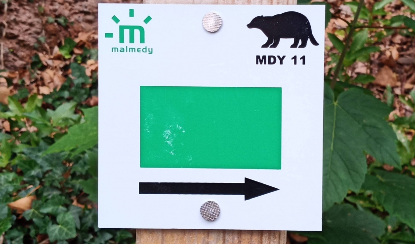 Le logo de MDY11 Le logo de MDY11