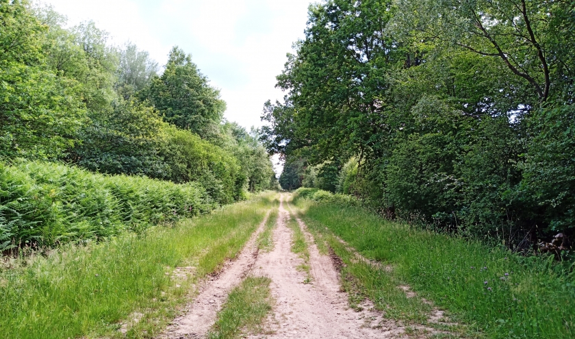 Sentier Spa - Malchamps vers Berinzenne Sentier Spa - Malchamps vers Berinzenne