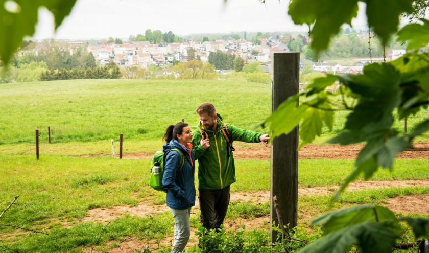 Le printemps invite à admirer les paysages et à savourer la tranquillité de la nature. ©ostbelgien.eu Le printemps invite à admirer les paysages et à savourer la tranquillité de la nature. ©ostbelgien.eu