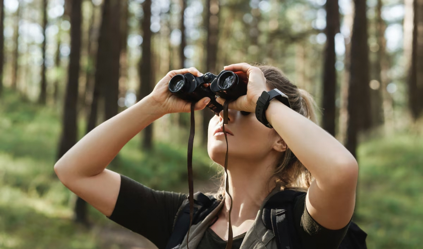 Observer les oiseaux est un passe-temps relaxant et de plus en plus tendance. Observer les oiseaux est un passe-temps relaxant et de plus en plus tendance.