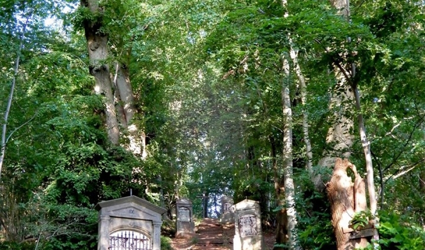 Le sentier du poudingue à Malmedy Le sentier du poudingue à Malmedy