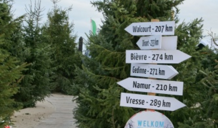 Foret de sapins namurois a Oostduinkerke, Coxyde Foret de sapins namurois a Oostduinkerke, Coxyde