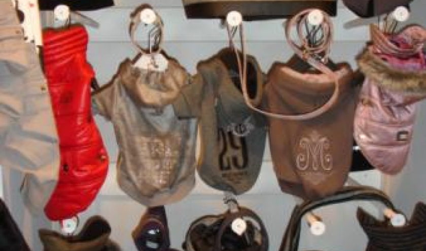 Toute la collection Hiver Milk&Pepper
