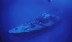 (c) McDavid "The Cayman Islands"