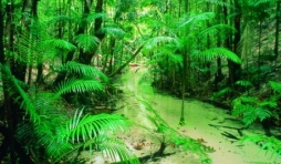 (c) Tourism Queensland - Photographer Peter Lik