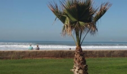 agadir plage riu tikida dunas