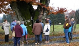 Bonnerue: li creu d'ol beni hesse