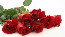 Saint-Valentin  